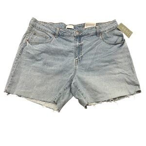 H&M Light Blue Jean Shorts a high Waist Size 18